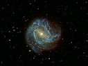 M832.jpg