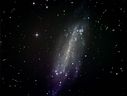 NGC4236_10x12.jpg