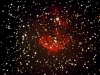 Sh_2-3.jpg