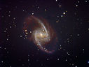 NGC1365_5x12.jpg