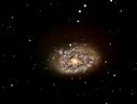 NGC7793~0.jpg